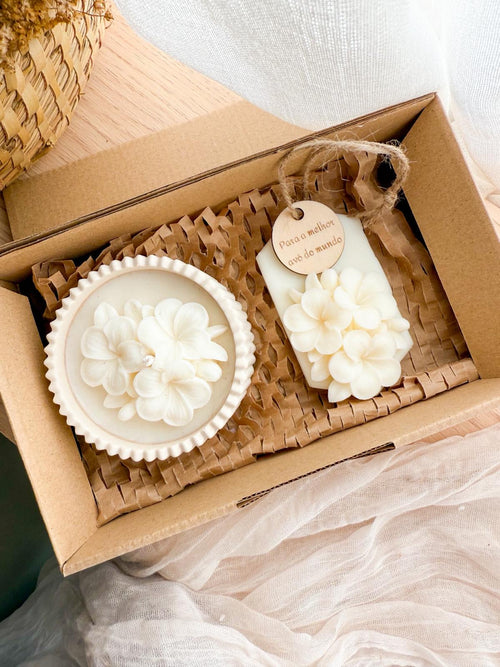 Caixa Presente | Hortênsia