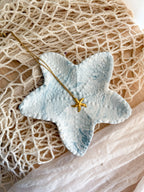 Estrela do Mar