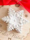 Floco de Neve